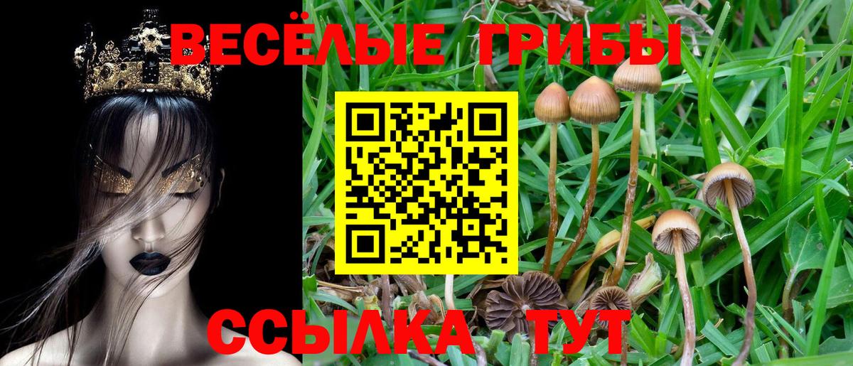 Амфетамин Кировск