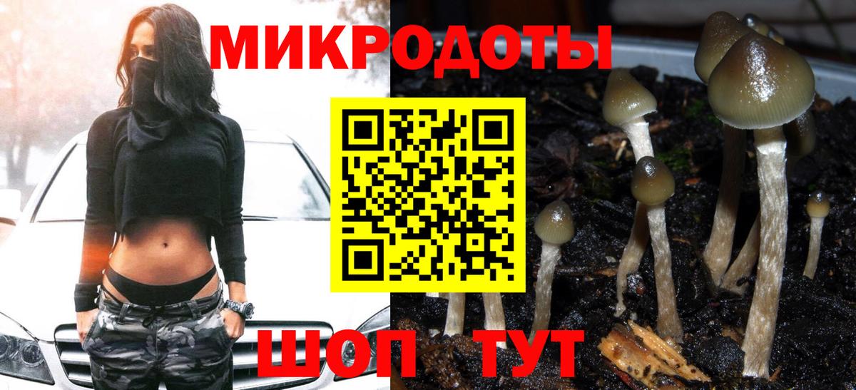 Псилоцибиновые грибы мицелий  Псилоцибиновые грибы мухоморы  Кировск  Вход с VPN 